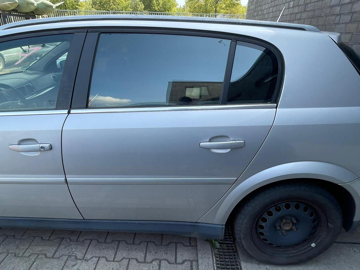 Opel Signum original Tür hinten links 2AU Starsilber BJ04